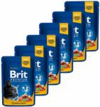 Brit Pliculeț BRIT Premium Cat Salmon & Trout 6 x 100 g