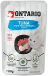 ONTARIO Ton Ontario Cat 80 g