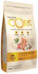 Wellness Core Wellness Core Cat Sterilised pui & curcan 4 kg