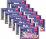 Brit BRIT Premium Cat Dinner Plate in Jelly tin 12 x (4 x 85 g)