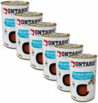 ONTARIO Hrană lichidă cu bucăți de somon Ontario Cat 6 x 135 g
