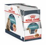 Royal Canin Royal Canin HAIRBALL CARE - pliculeț 12 x 85 g
