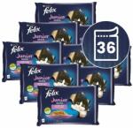 FELIX FELIX Junior Fantastic pliculețe, selecție delicioasă în gelatină 36 x 85 g