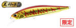Duo REALIS JERKBAIT 100F 10cm 13.7gr ASAZ397 S Red Gold Tiger (DUO86258)