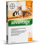 Advantage bolha elleni spot-on 4kg alatti macskáknak 4x0, 4ml