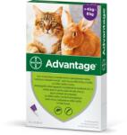 Advantage bolha elleni spot-on 4kg feletti macskáknak 1x0, 8ml