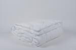 Naturtex Microfiber Hegesztett Paplan 140x200cm Fehér 100% Poliészter