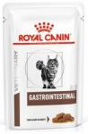 Royal Canin Cat Gastro Intestinal 24x85 g hrana pisica