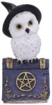 Nemesis Now Статуетка Nemesis Now Adult: Gothic - Avian Spell (Blue), 12 cm (U5720U1)