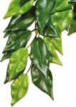 EXOTERRA Dekoráció Exo Terra Textil növény Ficus közepes (107-PT3040)