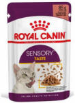 Royal Canin Feline Adult (Sensory Taste) - alutasakos (falatkák, pecsenyelé) eledel macskák részére (85g)