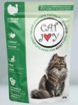 Cat Vital Joy Plic Cat Joy cu Curcan in Sos, 85 g