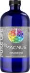 Pure Life Magneziu nanocoloidal Minerals+ Magnus, 480 ml, Pure Life