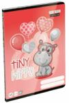 Lizzy Card Füzet LIZZY CARD A/5 32 lapos sima 20-32 Tiny Hippo (20832)