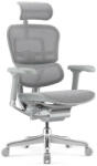 Antares ERGOHUMAN II Elite ergonomikus irodai szék, Szürke váz-szürke háló