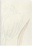 Clairefontaine Jegyzetfüzet Clairefontaine Tulip paper, A/6, 10, 5x14, 8cm, 64 lapos, sima (813067C)