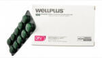 DFV Comprimate antiparazitare caini - Wellplus - 10 comprimate