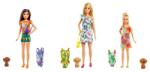 Mattel - Barbie Dha nővér fürdőruhával, Termékkeverék