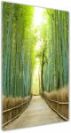  Wallmuralia. hu Üvegfotó Bambusz erdő 50x125 cm 4 fogantyú