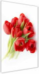  Wallmuralia. hu Egyedi üvegkép Piros tulipánok 70x100 cm 4 fogantyú