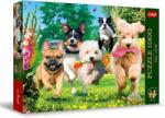 Trefl Puzzle Trefl din 1000 de piese - Vin farsorii! (10800) Puzzle