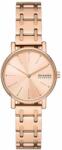 Skagen SKW3125 Ceas