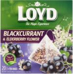 LOYD Piramis tea, Feketeribizli és bodzavirág, 20 filter 40 g