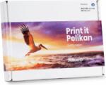 Pelikan (Brother LC1100) Value Pack B/C/M/Y (4950410)