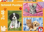 Schmidt Spiele Puzzle pentru copii Schmidt din 3 x 48 de piese - Cele mai simpatice animale ale mele (56361) Puzzle