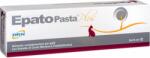  Epato Plus Pasta májvédő paszta macskáknak (2 x 15 ml) 30 ml