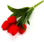  5 ágú tulipán csokor piros (CCR50-1564PIR)