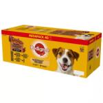 PEDIGREE Adult Mix of Flavours in Sos plicuri 40x100g