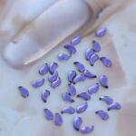 Zodiac Akril forma 17