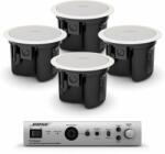 Bose AudioPack Pro C4W