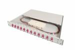 ASSMANN FO splice box, 1U, equipped, 12x LC DX, OM4 incl. splice cassette, colored pigtails, couplers (DN-96331-4) (DN-96331-4)