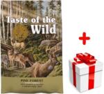 Taste of the Wild Pine Forest 12, 2kg+niespodzianka dla psa