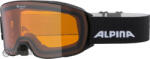 Alpina NAKISKA DH Síszemüveg, fekete matt