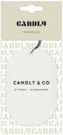 Candly&Co Candly&Co. Scented Car No. 3 Citrus, Cinnamon Autóillatosító 1 db