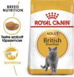 Royal Canin British Shorthair Száraztáp felnőtt brit rövidszőrű macskák számára 10kg + Nedves eledel 12x85g