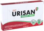 Sun Wave Pharma Urisan GR Urinary Tract, 10 comprimate, Sun Wave Pharma - springfarma