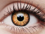 MAXVUE VISION Crazy One-Day Twilight (2 lentile) (EYEC1TWIL)
