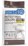 FORZA10 Active Line Dog 10kg Forza 10 Intestinal Colon Phase 1 mit Lamm Hundefutter trocken