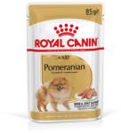 Royal Canin Pomeranian Adult Pástétom felnőtt pomerániai kutyáknak 48x85g