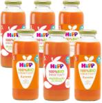 HiPP Bio Direktsaft 100% vegyes gyümölcslé 5 hónapos kortól 330 ml - careclub - 4 299 Ft