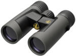 Leupold Binoclu Leupold BX-2 Alpine HD 10x42 (181177) Binoclu