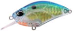 Duo Vobler Duo Realis Crank 55SR Kabuki 5.5cm 10g Gold Plate Blue (DUO60593)