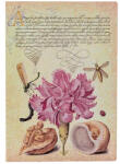  Paperblanks butikkönyv, Softcover Flexis, Midi, sima, Pink Carnation (FB9728-0)