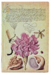  Paperblanks butikkönyv, Softcover Flexis, Midi, vonalas Pink Carnation (FB9727-3)