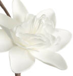Magnolia művirág 715 Fehér