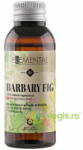 MAYAM Ulei de Smochin Barbaria 50ml